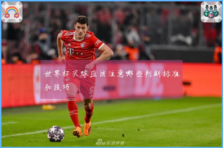 世界杯买球应该注意哪些判断标准和技巧