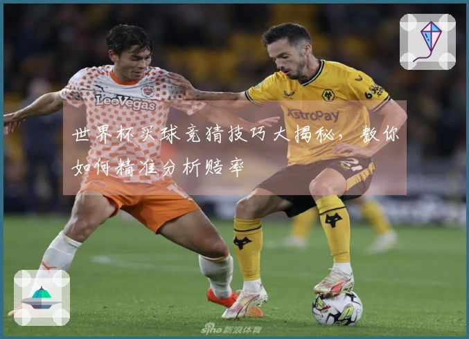 世界杯买球竞猜技巧大揭秘，教你如何精准分析赔率
