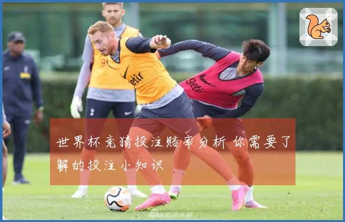 世界杯竞猜投注赔率分析 你需要了解的投注小知识