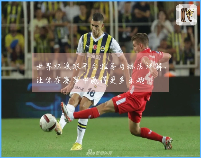 世界杯滚球平台推荐与玩法详解，让你在赛事中赢得更多乐趣