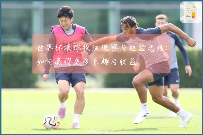 世界杯滚球投注观察与经验总结：如何赢得更多乐趣与收益