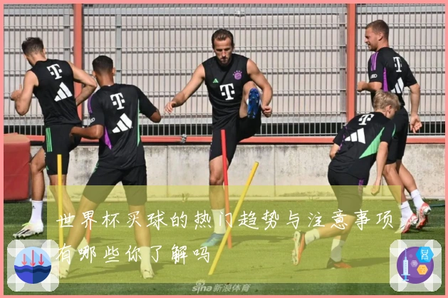 世界杯买球的热门趋势与注意事项有哪些你了解吗
