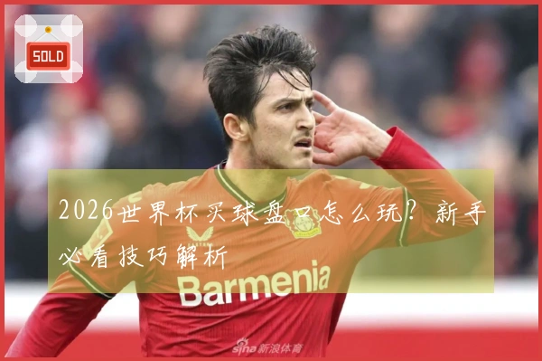 2026世界杯买球盘口怎么玩？新手必看技巧解析