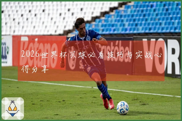 2026世界杯买球必看技巧与实战心得分享