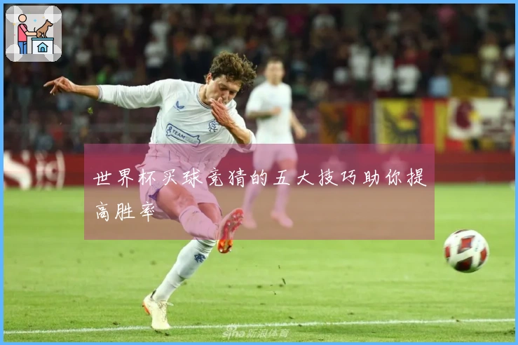 世界杯买球竞猜的五大技巧助你提高胜率