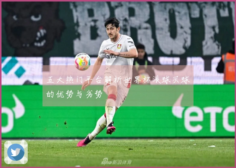 五大热门平台解析世界杯滚球买球的优势与劣势