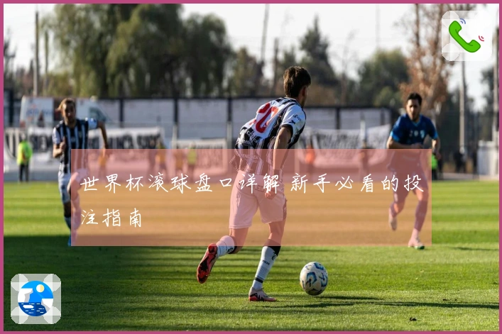 世界杯滚球盘口详解 新手必看的投注指南