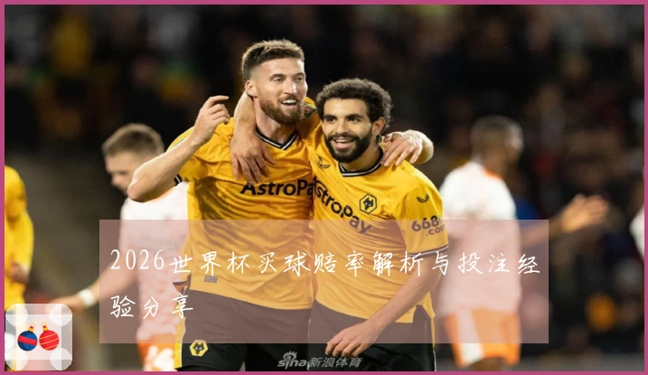 2026世界杯买球赔率解析与投注经验分享