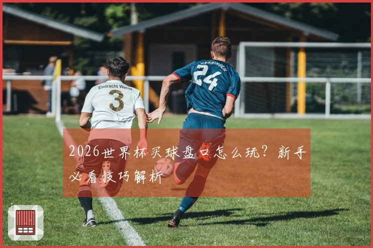 2026世界杯买球盘口怎么玩？新手必看技巧解析