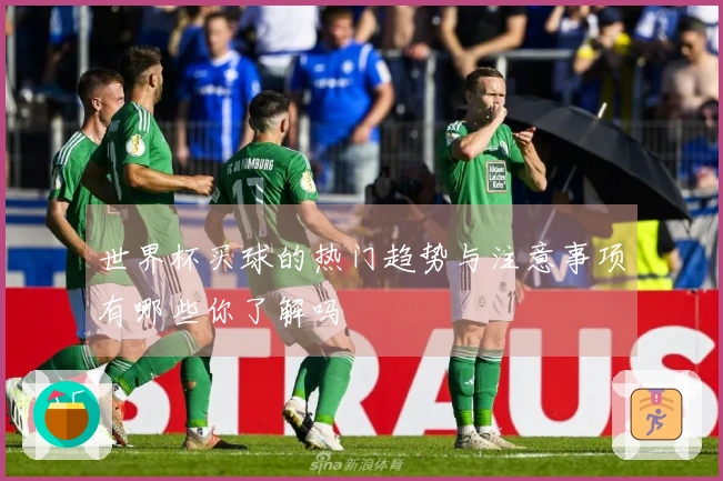 世界杯买球的热门趋势与注意事项有哪些你了解吗