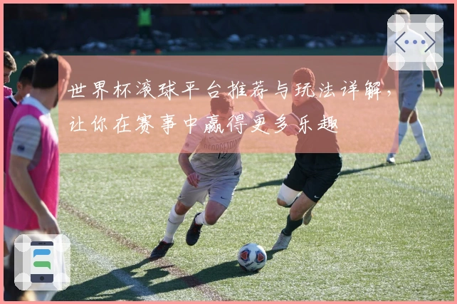 世界杯滚球平台推荐与玩法详解，让你在赛事中赢得更多乐趣