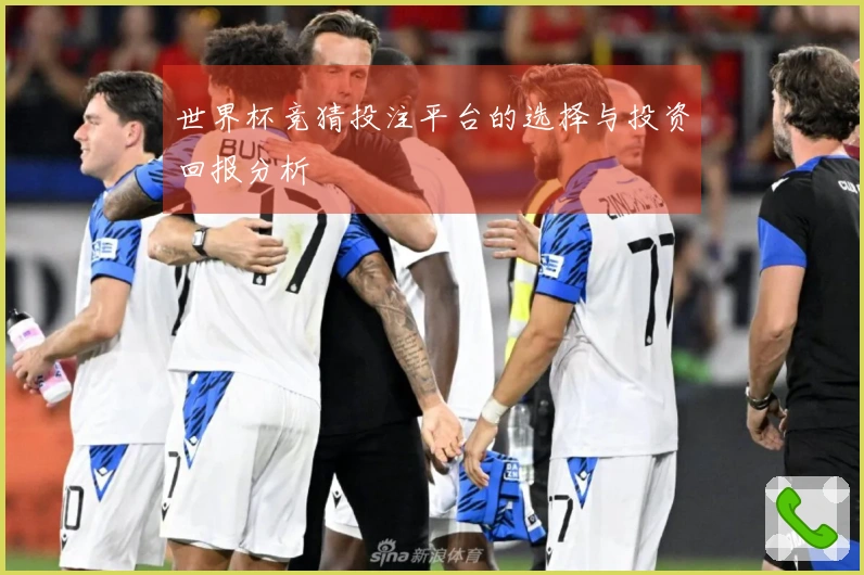 世界杯竞猜投注平台的选择与投资回报分析